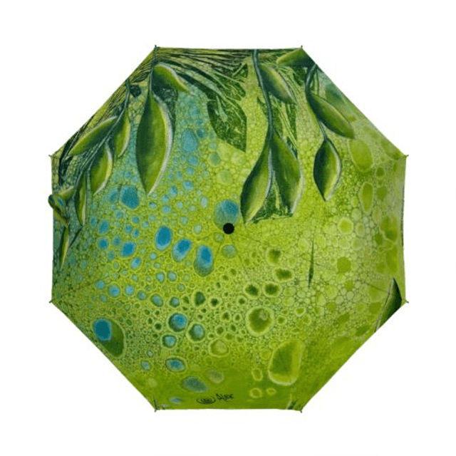 Ombrello no. 18